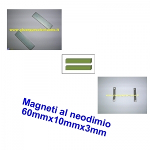 754210 coppia magneti neodimio compatibili FAAC 844 & 746