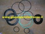 CONF.GUARN.MARTINETTO 750/89