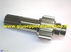 PIGNONE MARTINETTO 750