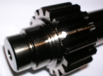 PIGNONE MARTINETTO 750