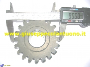 PIGNONE Z20 CR (ATT.CONICO)