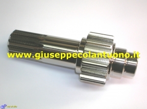 PIGNONE MARTINETTO 750